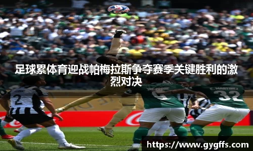 足球累体育迎战帕梅拉斯争夺赛季关键胜利的激烈对决